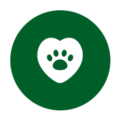 pet vaccination icon
