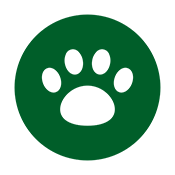 services icon