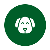 pet vaccination icon