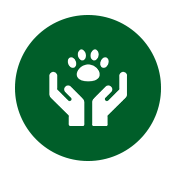 pet vaccination icon