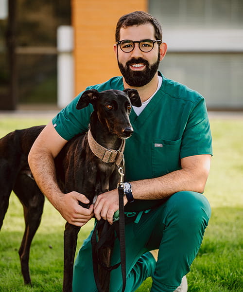 Dr.-Shelton