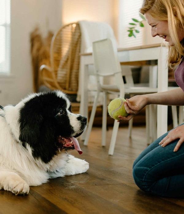 Playing-with-puppy
