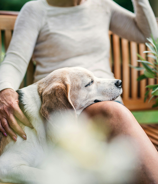 White-dog-feeding-by-the-girl