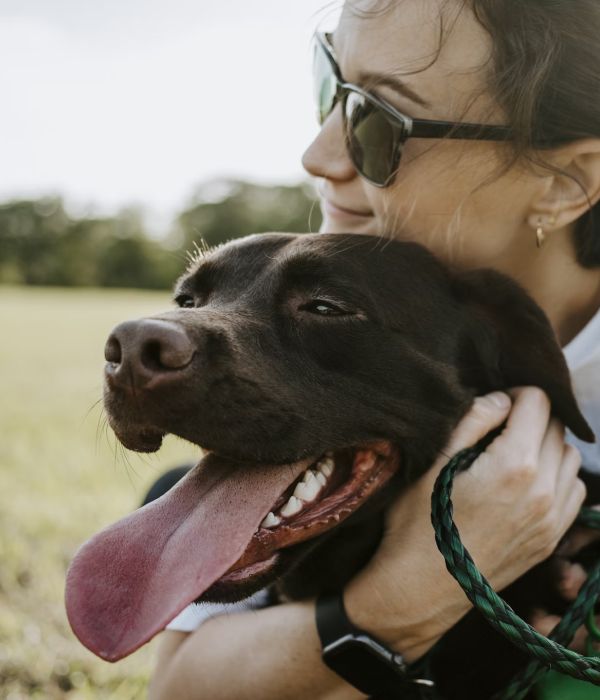 How Often Should My Pet Have a Wellness Exam?
