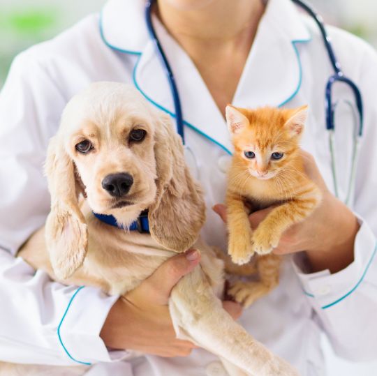 A woman in a white coat holding a dog and a cat